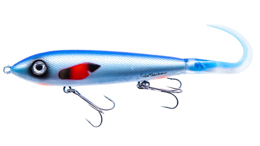 Big McTail C6 Blue Silver