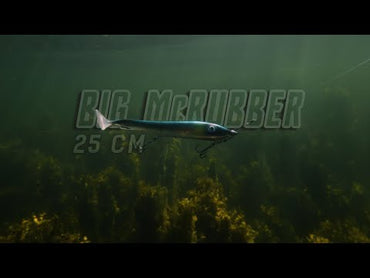 Big McRubber 25 cm 2 pack - Copper Shad by Snoken