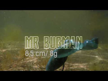 NATC Mr. Bugman 4-pack Junebug