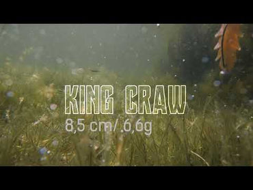 NATC King Craw 4-pack Junebug