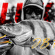 JB Fluke - Ett soft jerkbait designat av Jocke Blom