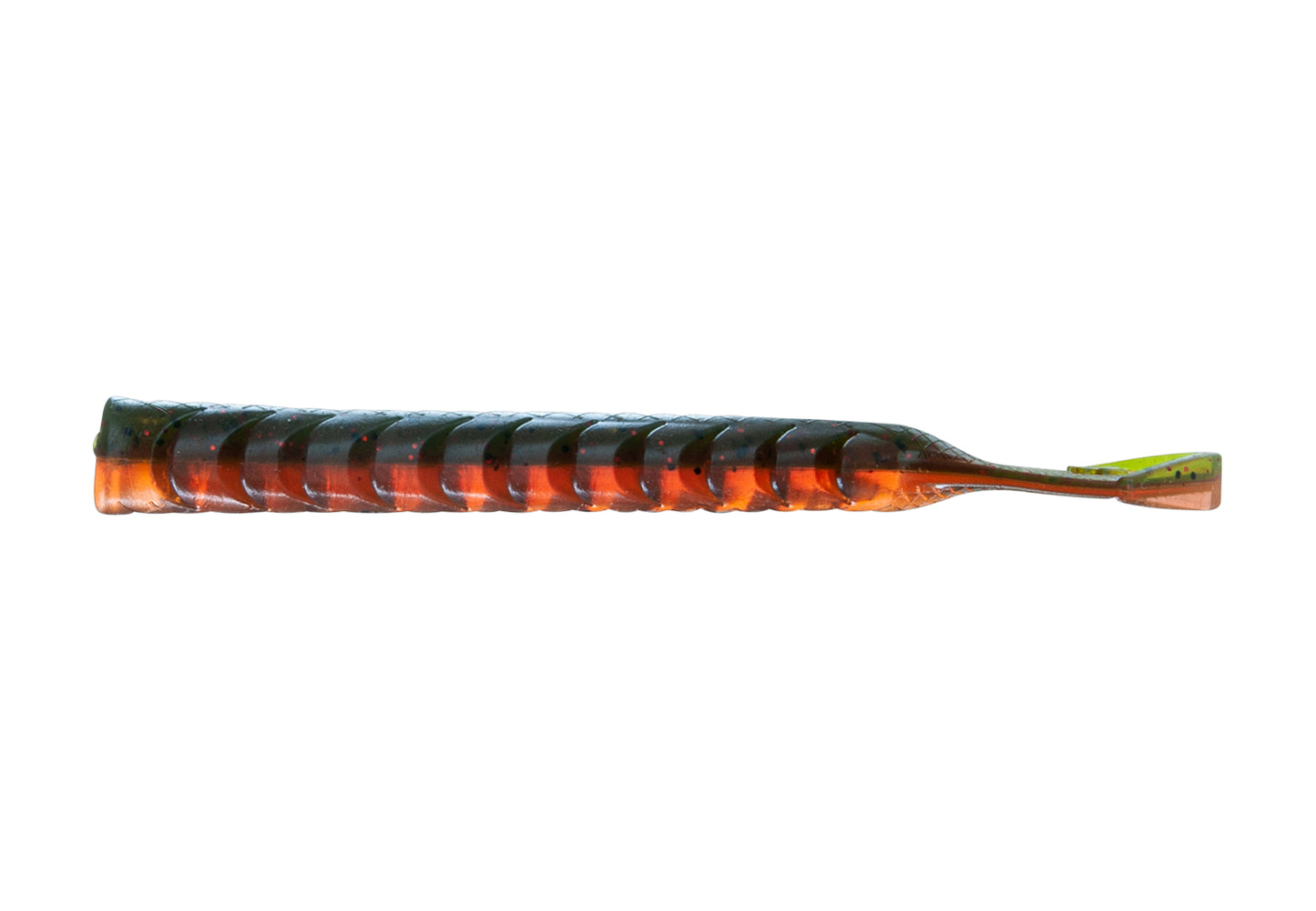 NATC Lady Dragonworm 6-pack Pumpkin Spice