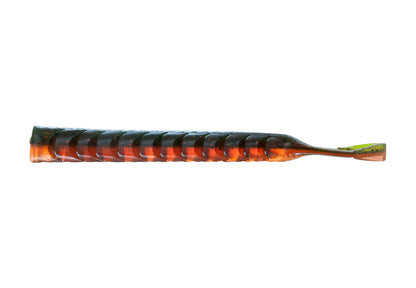 NATC Lady Dragonworm 6-pack Pumpkin Spice