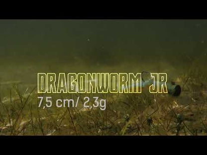 NATC Dragonworm Junior 8-pack Highlight Ayu
