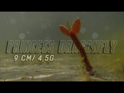 NATC Princess Dragonfly 6-pack Junebug