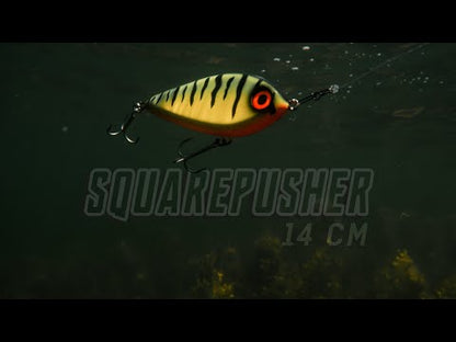 Squarepusher 14cm - C9 Pike