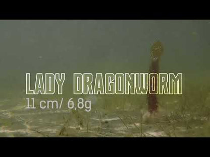 NATC Lady Dragonworm 6-pack Motoroil Glitter