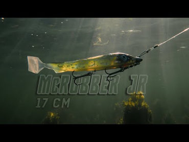 McRubber Junior 17cm 2 pack C37 Black Shad
